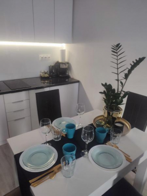 Apartament LUX w centrum Konina